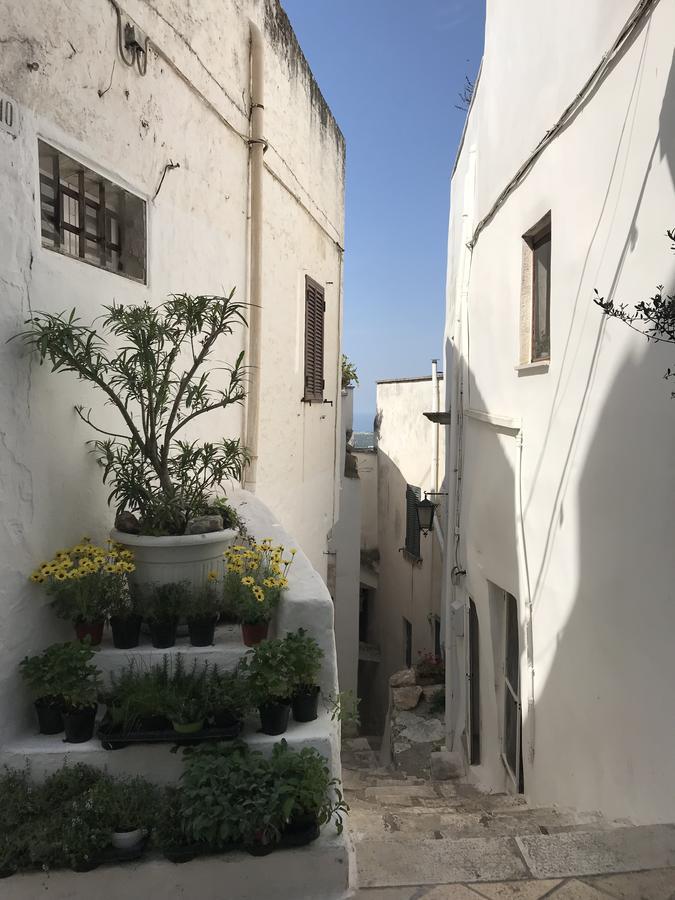 Villa Aurora B&B Bari Eksteriør bilde